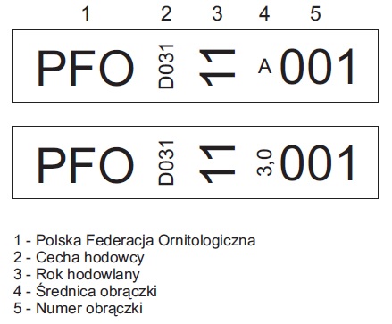 Tekst alternatywny