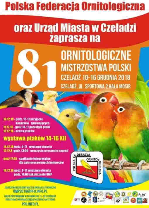 Tekst alternatywny