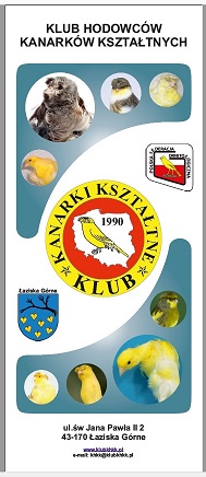 Tekst alternatywny